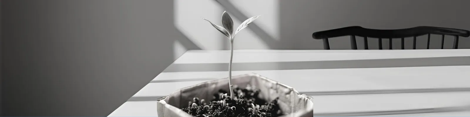 Behavix Secures $2.5M in Seed Funding to Disrupt Behavioral Data Market